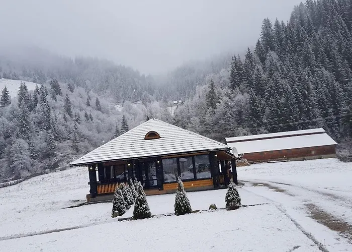 Casa Obcina Bucovinei